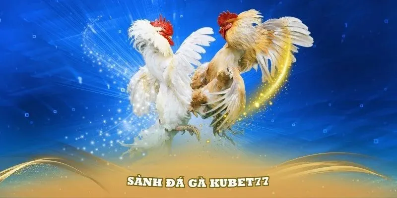 Ưu điểm của sảnh đá gà Kubet